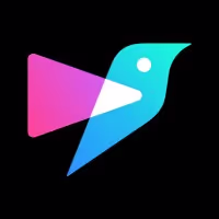 Pipio